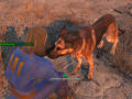 Fallout4 2015-11-10 22-51-43-87.png